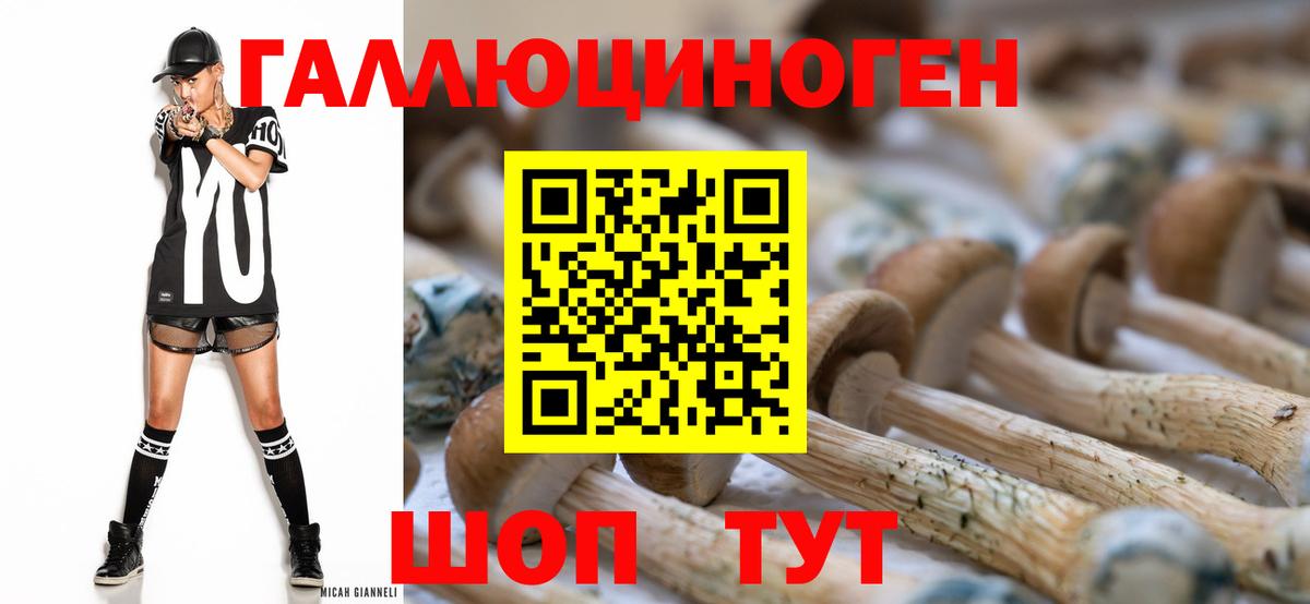 Псилоцибиновые грибы Cubensis Москва